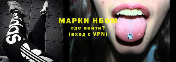 стаф Козельск