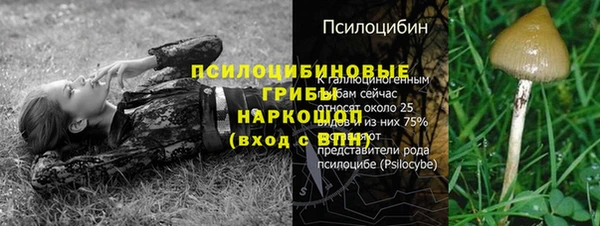 первитин Киренск